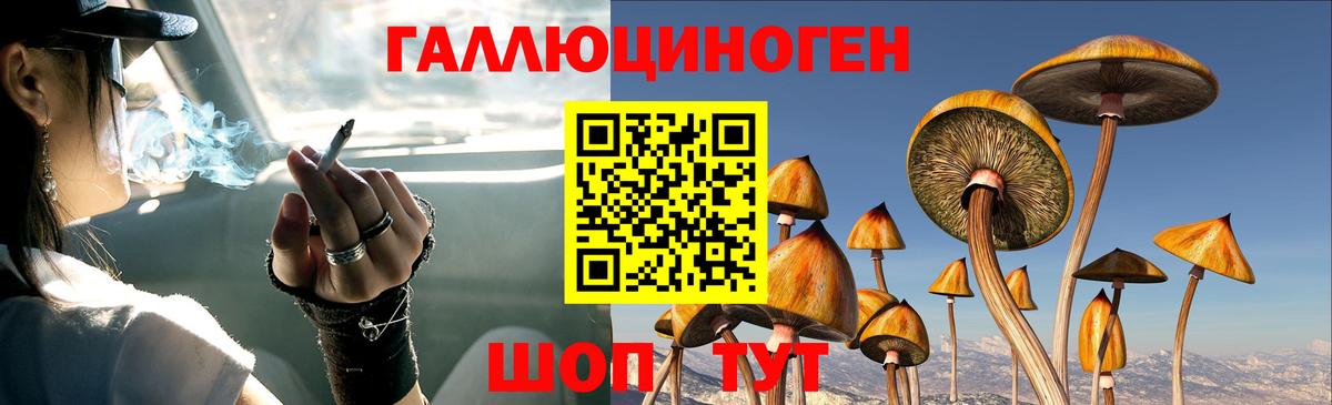 Псилоцибиновые грибы Magic Shrooms  Вход с VPN  Калининград  наркотики  Галлюциногенные грибы ЛСД 
