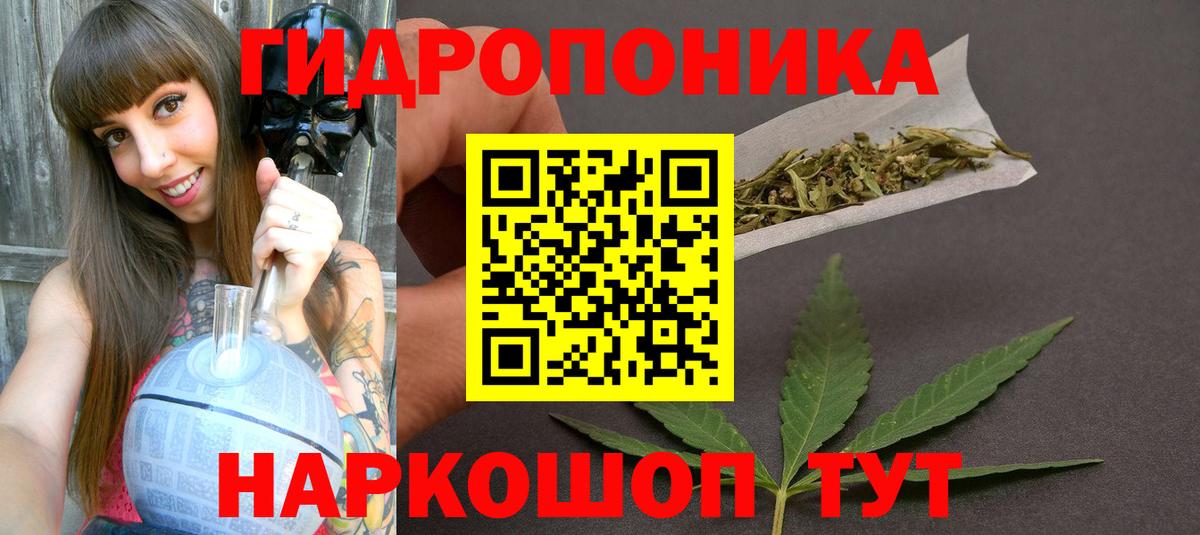 Каннабис планчик  Марихуана индика  Калининград  Вход с VPN  Шишки марихуана SATIVA & INDICA 